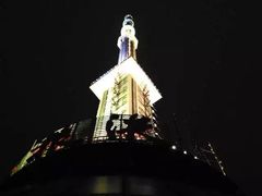 -339旋转餐厅(天府熊猫塔店)
