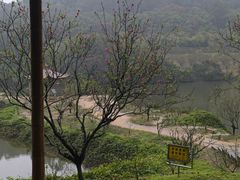 -南国桃园旅游度假区