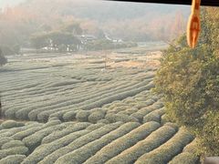 -灵顺寺