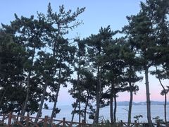 -养马岛旅游度假区
