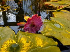 -国家植物园南园