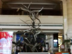 -泰华博悦大酒店