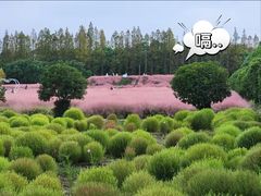 -嘉北郊野公园