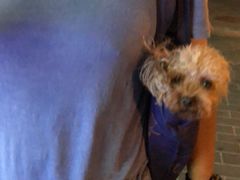 -三亚夏威夷大酒店