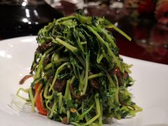 松茸配素锦-森谷美食公园(杨行店)