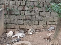 -杭州长乔极地海洋公园
