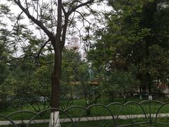 -成都市活水公园
