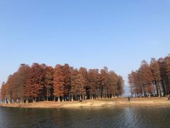 -四明湖