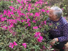 -聚龙山公园