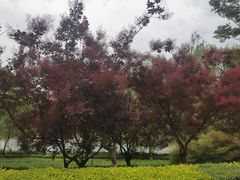 -西安汉城湖景区