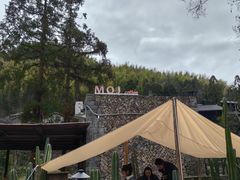 -MOJ coffee(瓯海泽雅水碓坑店)