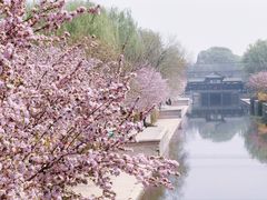 -元大都城垣遗址公园