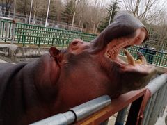 -宿豫区运河湾森林动物园