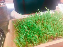 -左庭右院鲜牛肉火锅(南通CBD大有境店)