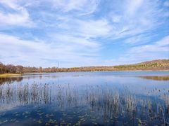 -塞罕坝国家级自然保护区