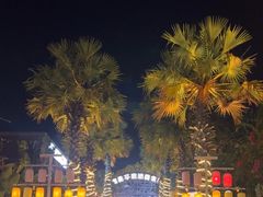 -三亚海昌梦幻海洋不夜城