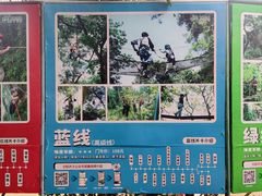 -芦仙山景区-飞越丛林探险乐园