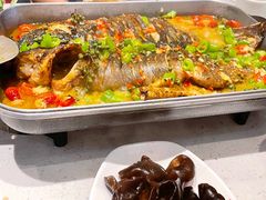 鲜麻藤椒清江鱼-鱼酷活鱼烤鱼(南京水游城店)