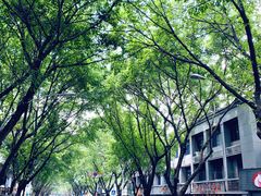 -煎意浓·吴记煎包(交通路店)
