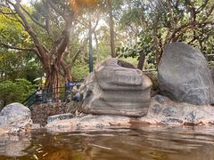 -湖泉半山温泉