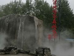 -合肥滨湖国家森林公园