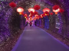 -大塘金香草谷