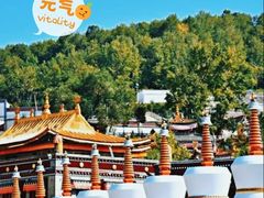 -塔尔寺游客服务中心