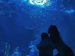 -多彩贵州城极地海洋世界