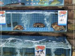 水产区-锐记美食店·现捞海鲜(闸坡店)