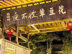-夜不收荤豆花(大邑总店)