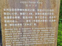 -云中大漈