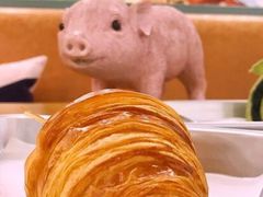 -WHEN PIGS FLY当猪飞