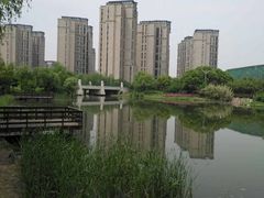 -新江湾城公园