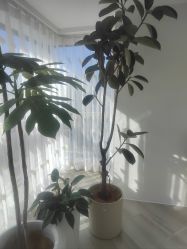 -HEYAN荷妍专业脱毛连锁机构