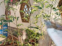 -钟掌勺忘不了地道湘菜(新天地假日广场店)