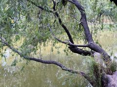 -人民公园(罗湖区)