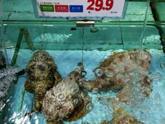 -渔民新村(番禺总店)