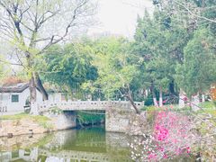 -水绘园