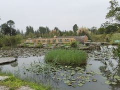 -泗洪洪泽湖湿地景区