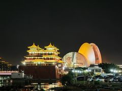 -野狸岛