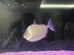 -星巴克(北京西大望路温特莱店)