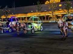 -鼎盛王朝康熙大典实景演出