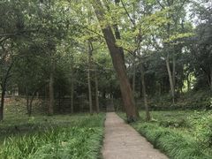 -灵谷景区