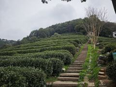 -龙井壹号·茶缘山景宴(龙井村店)