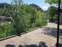 -万景饭店·鱼街农家菜