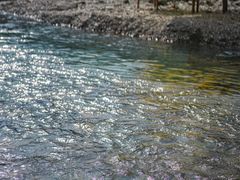 -虹口漂流