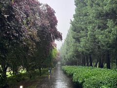 -秦始皇帝陵博物院-丽山园
