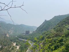 -东来顺铜锅炭火涮肉(上地华联店)