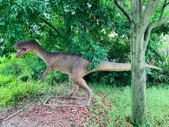 -自贡恐龙博物馆