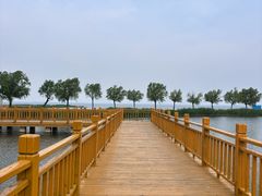 -卧龙湖
